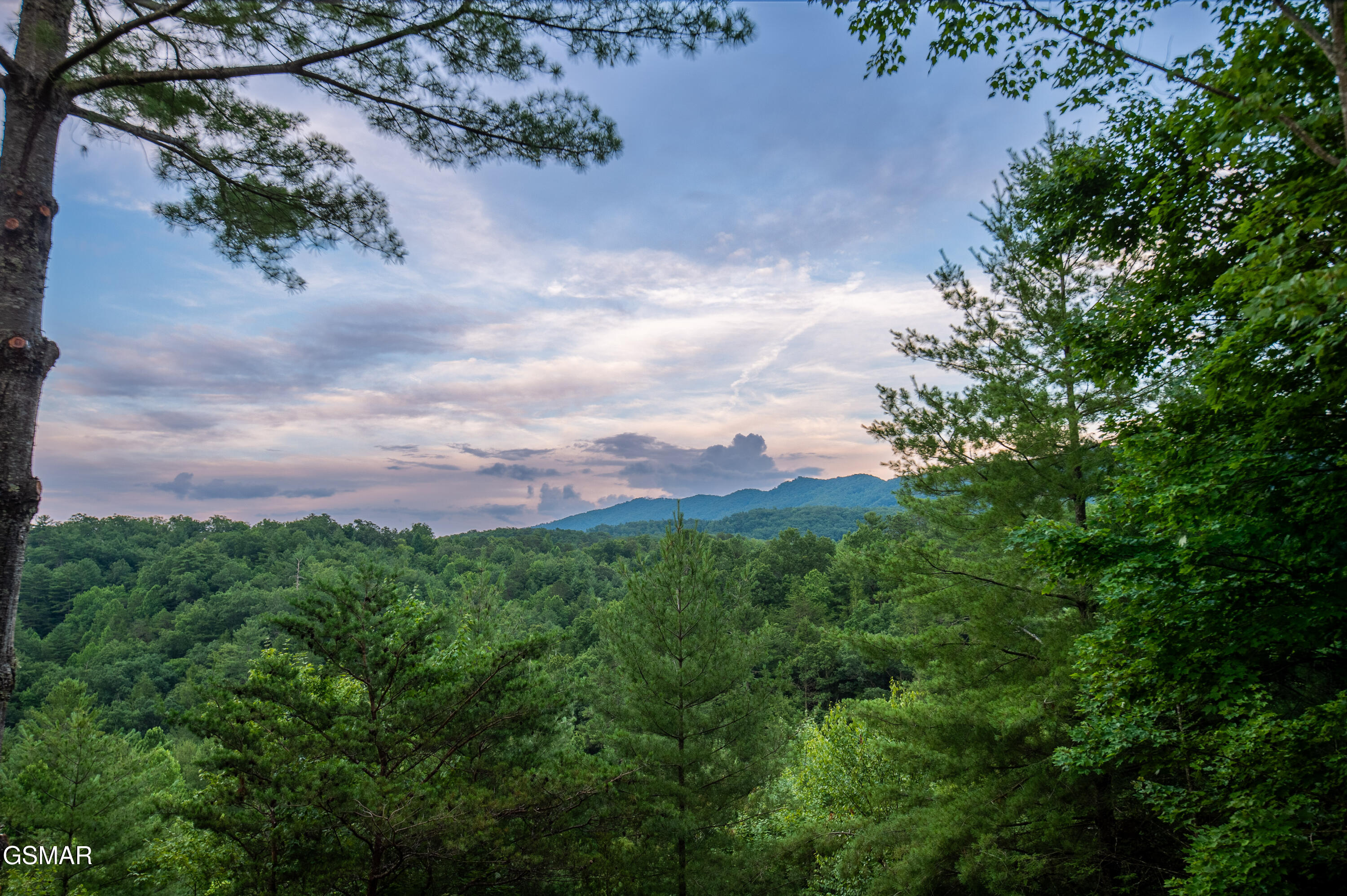 4186 Evans Chapel Road Sevierville TN 37876