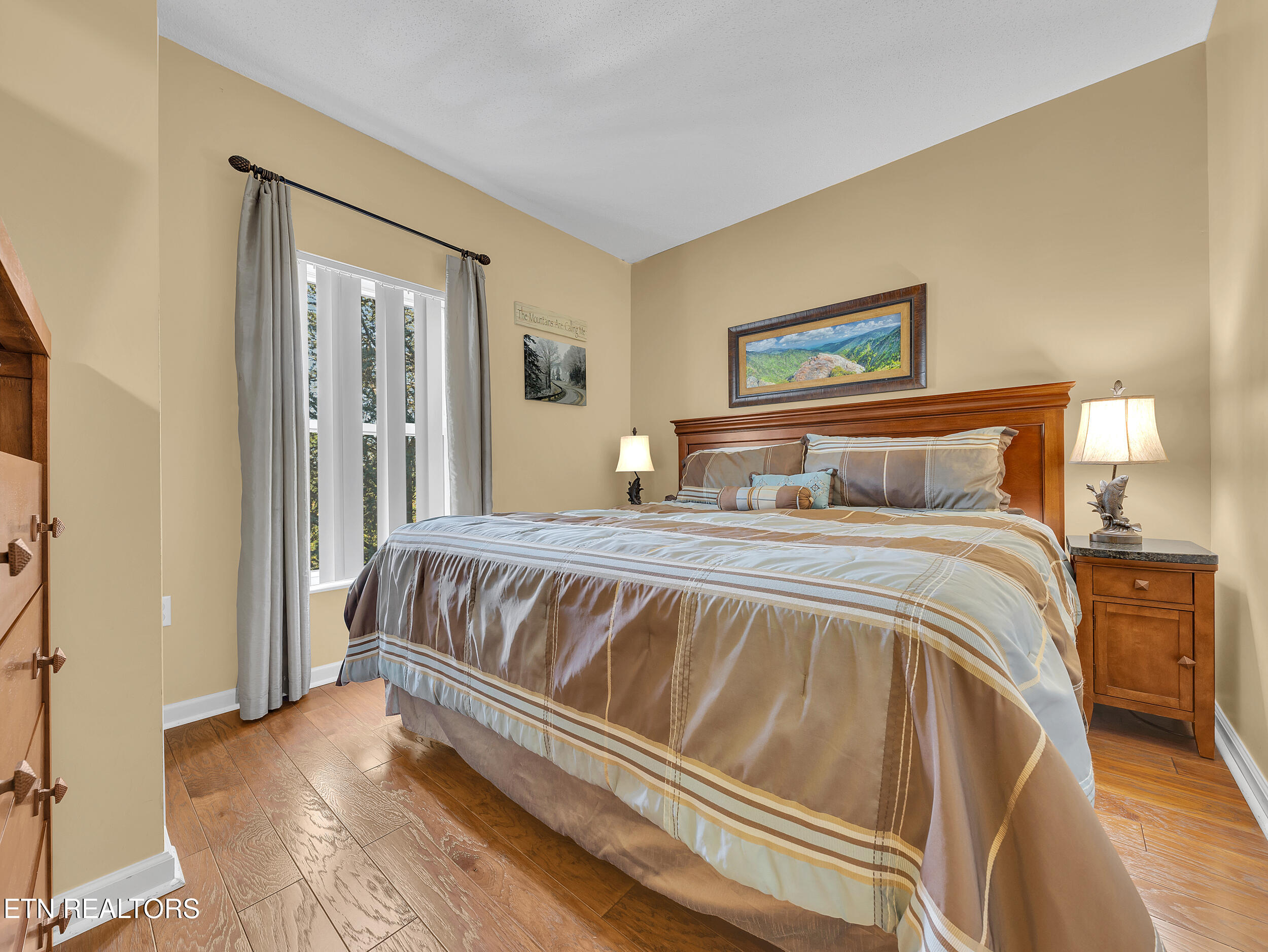 205 Ogle Drive Pigeon Forge TN 37863
