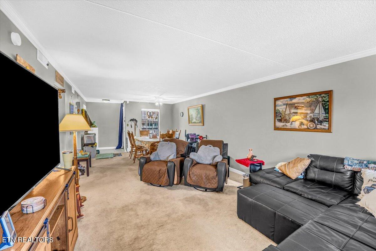 426 Dublin Drive Knoxville TN 37923