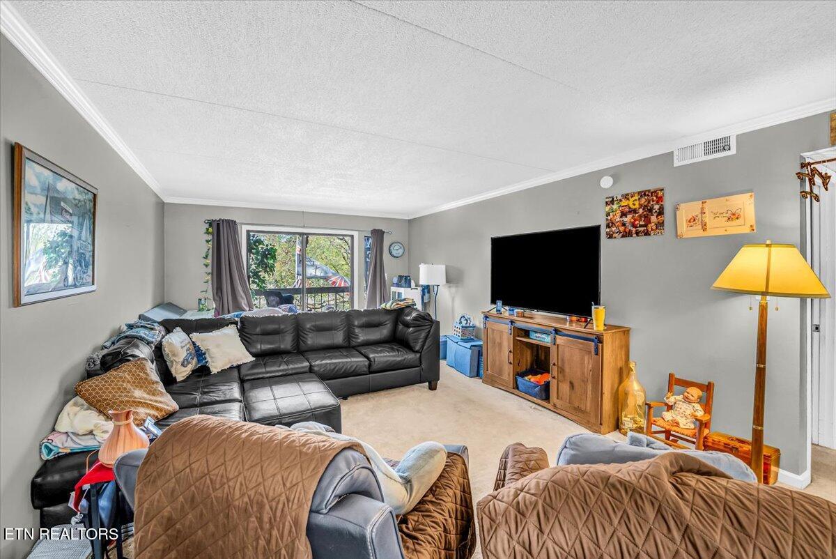 426 Dublin Drive Knoxville TN 37923