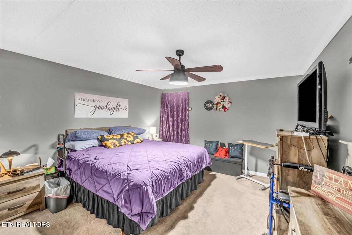 426 Dublin Drive Knoxville TN 37923