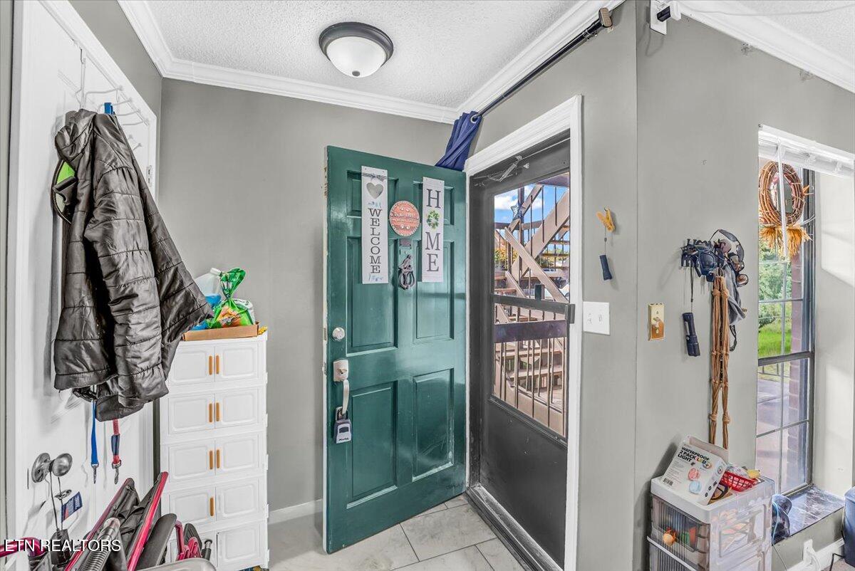 426 Dublin Drive Knoxville TN 37923
