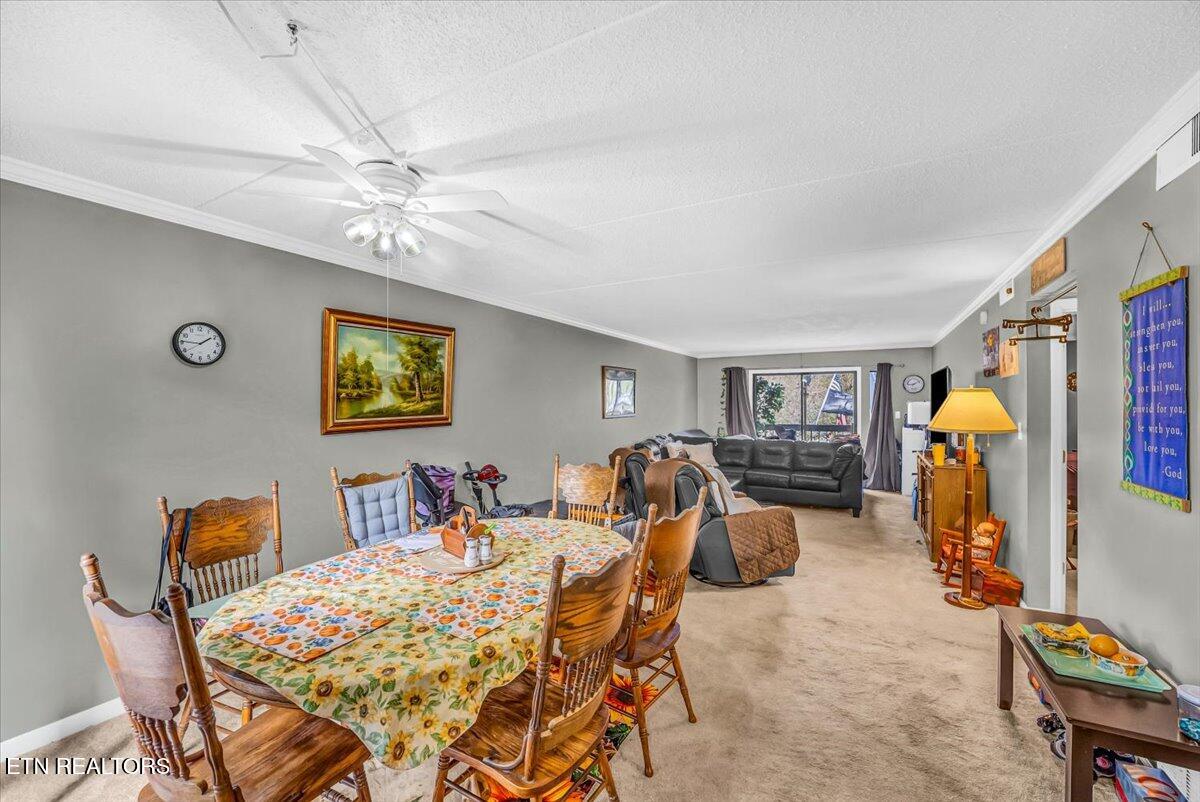 426 Dublin Drive Knoxville TN 37923