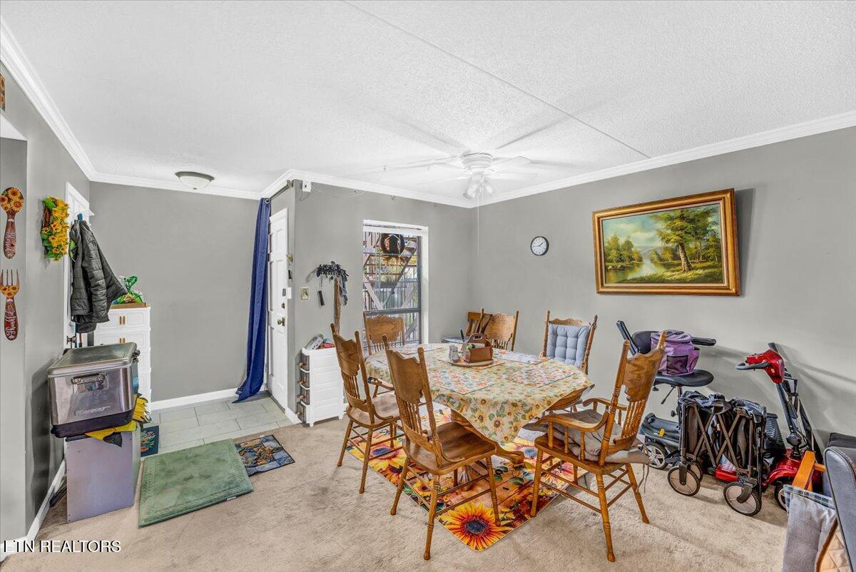 426 Dublin Drive Knoxville TN 37923
