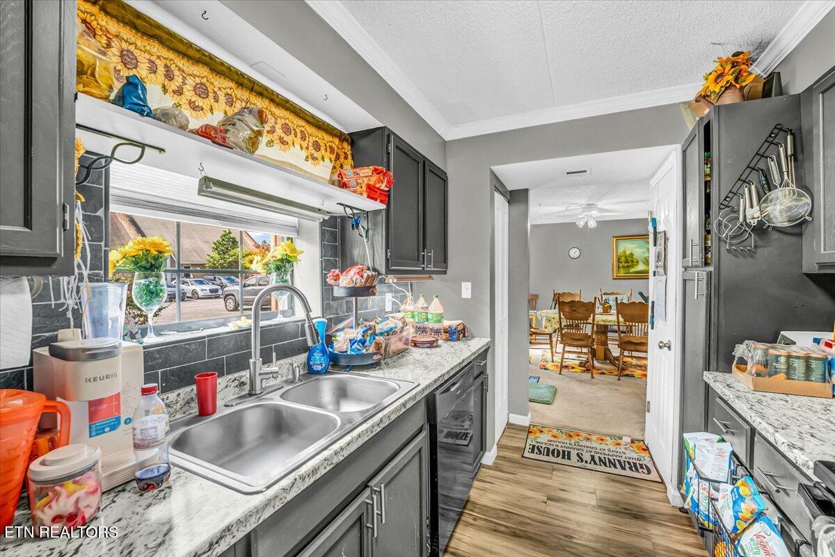 426 Dublin Drive Knoxville TN 37923