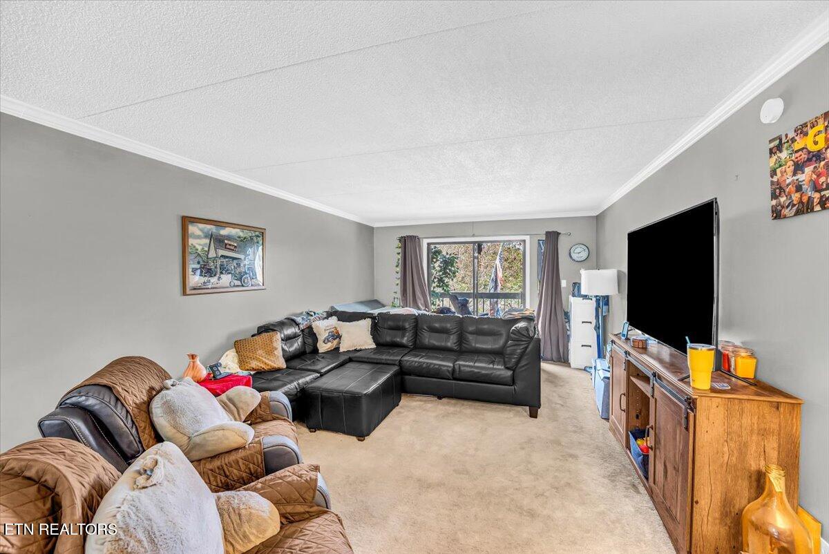 426 Dublin Drive Knoxville TN 37923