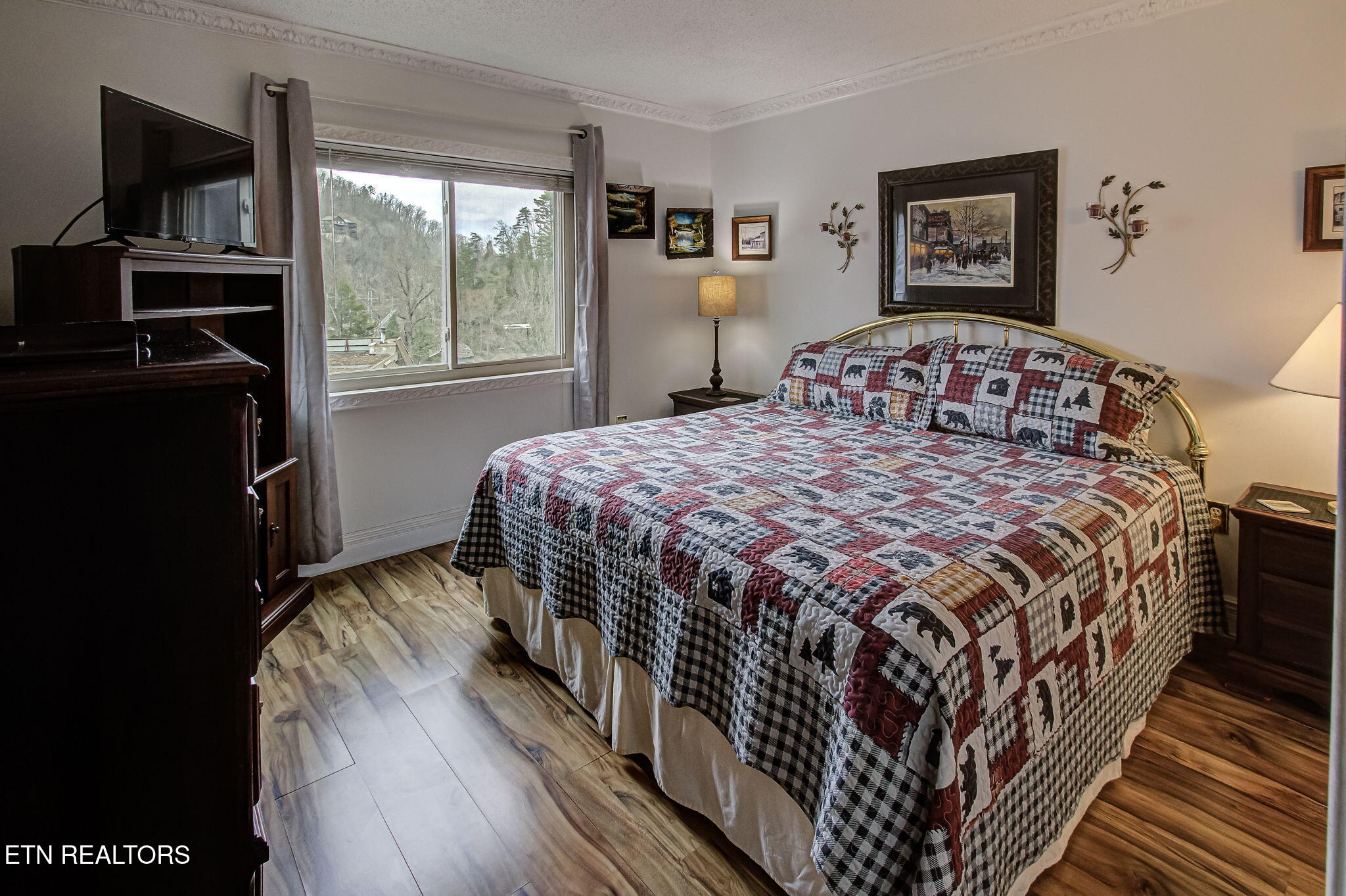 102 Baskins Creek Gatlinburg TN 37738