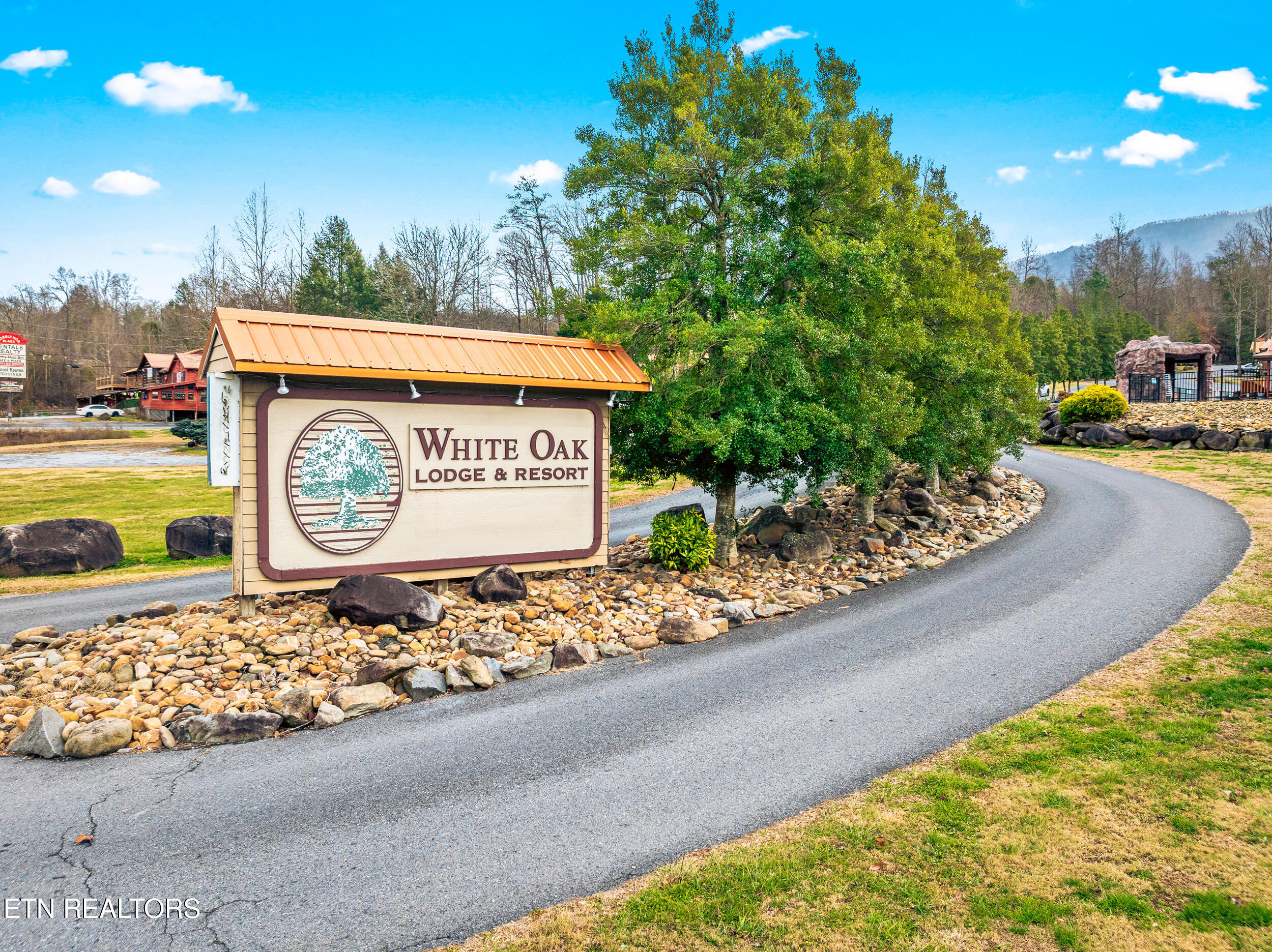 206 Forrest Loop Way Gatlinburg TN 37738