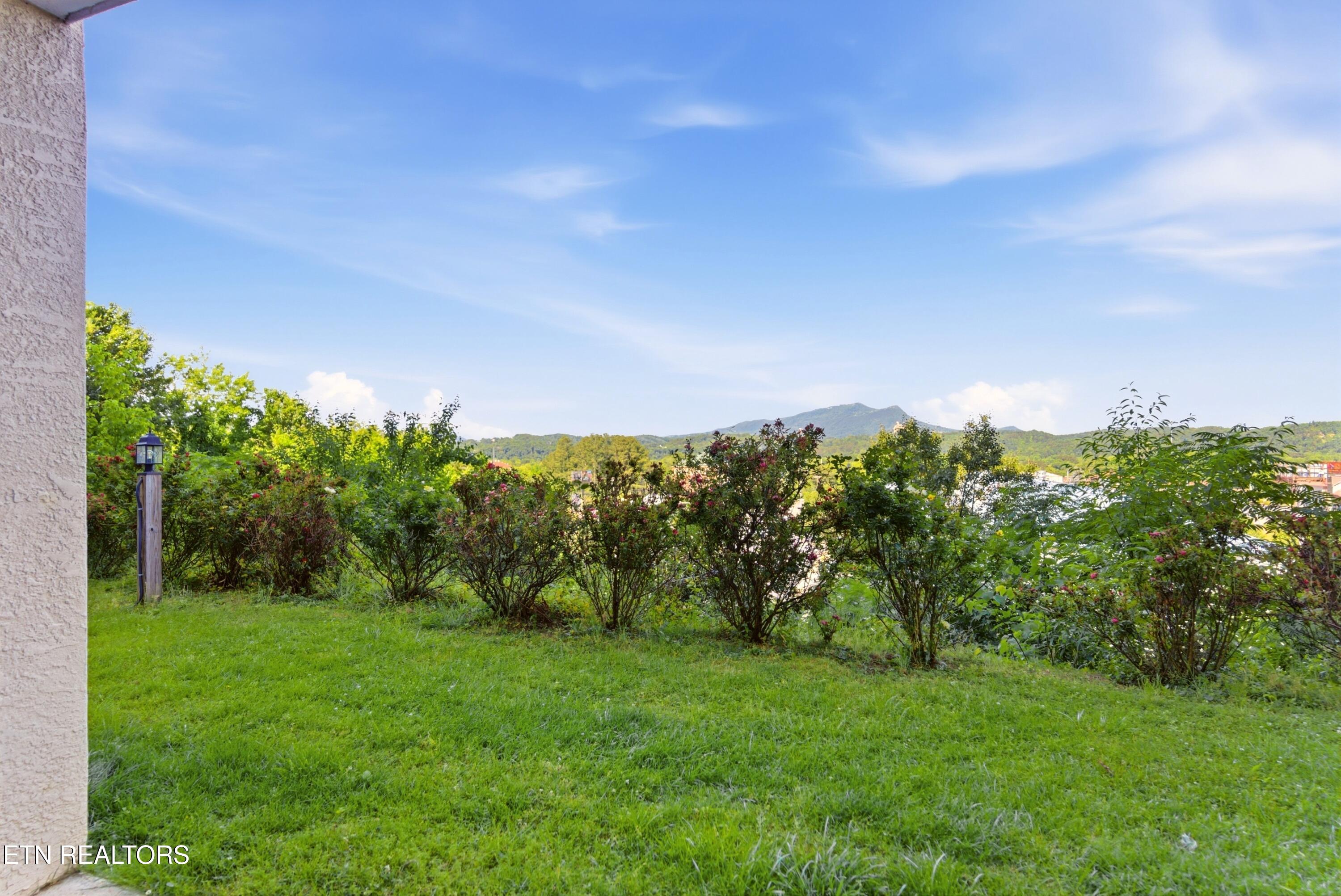 124 Plaza Drive Pigeon Forge TN 37863