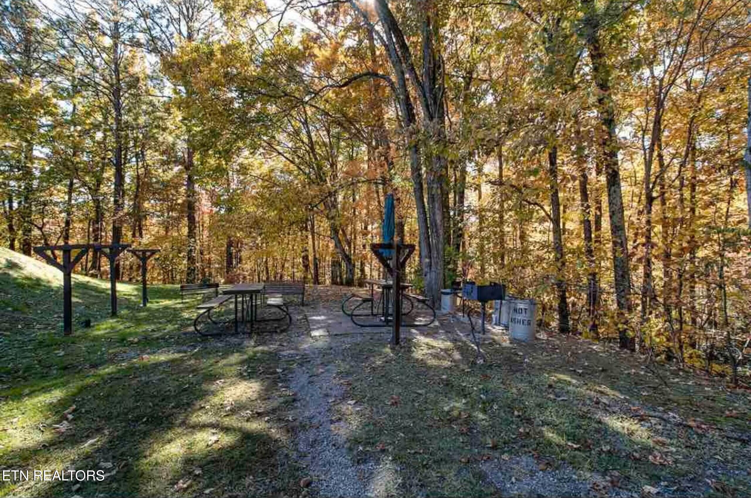 1081 Cove Road Sevierville TN 37876