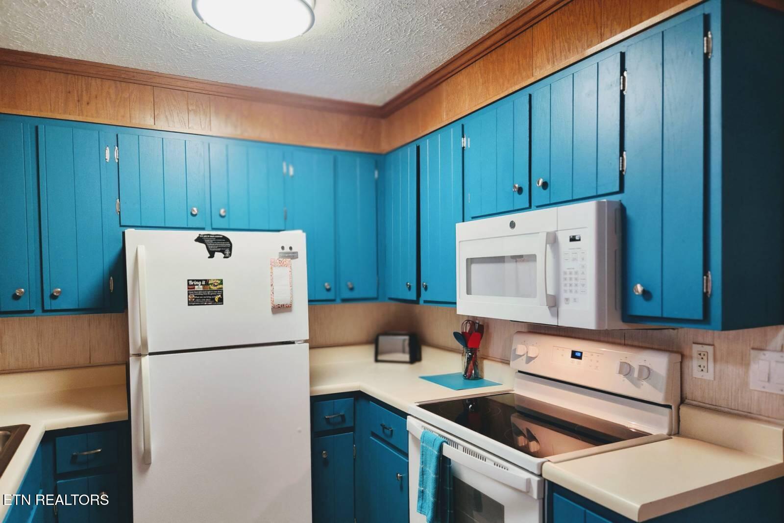 1102 Ski View Drive Gatlinburg TN 37738