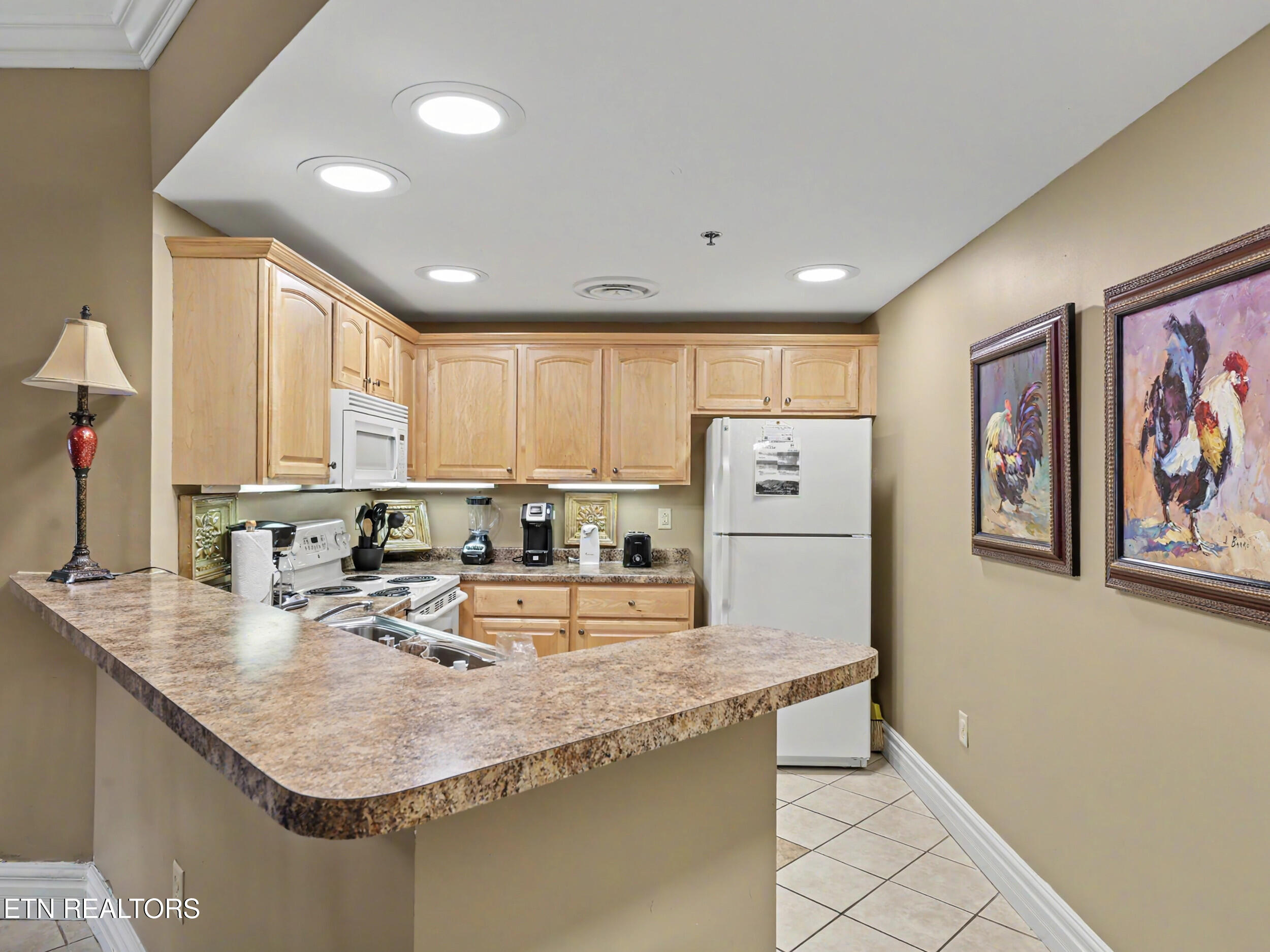 215 Woliss Lane Unit 303 Gatlinburg TN 37738