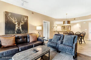 215 Woliss Lane Unit 303 Gatlinburg TN 37738
