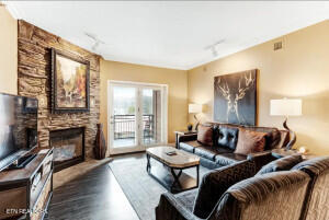 215 Woliss Lane Unit 303 Gatlinburg TN 37738