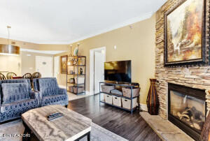 215 Woliss Lane Unit 303 Gatlinburg TN 37738