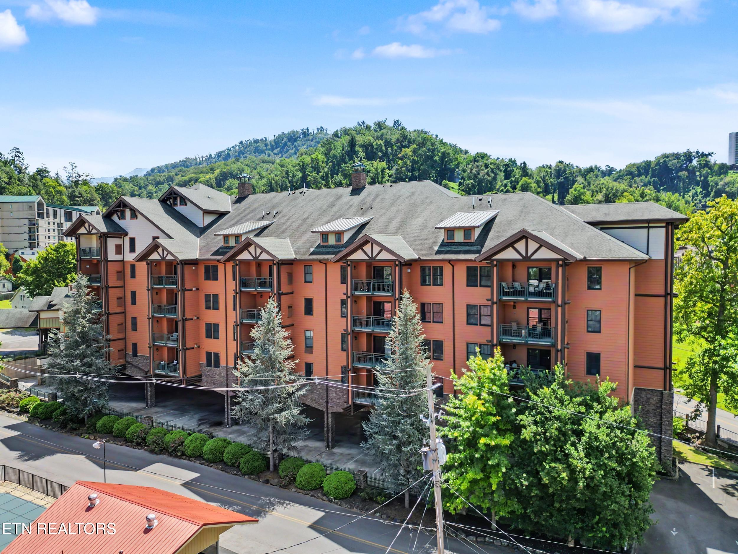 215 Woliss Lane Unit 303 Gatlinburg TN 37738