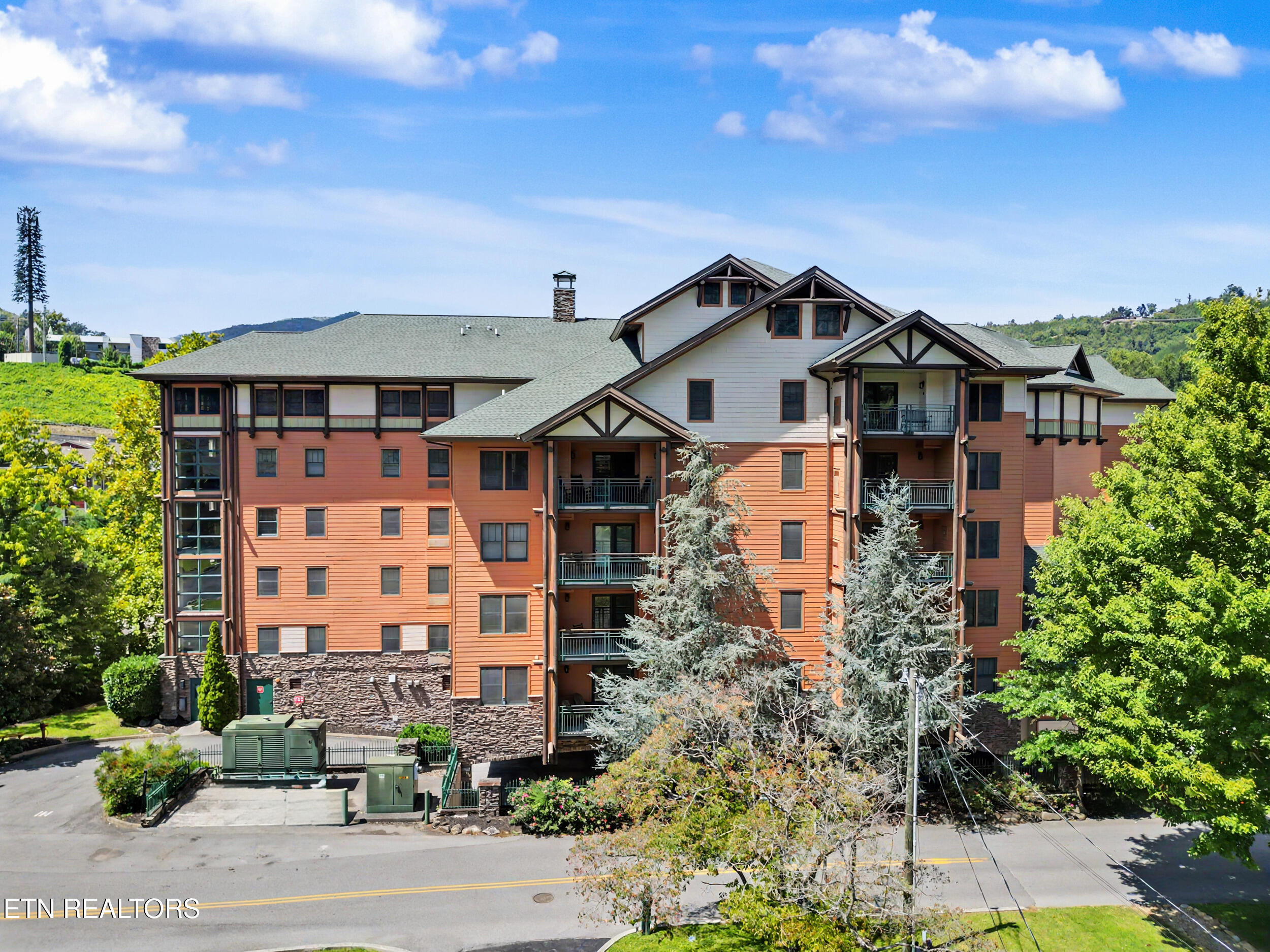 215 Woliss Lane Unit 303 Gatlinburg TN 37738