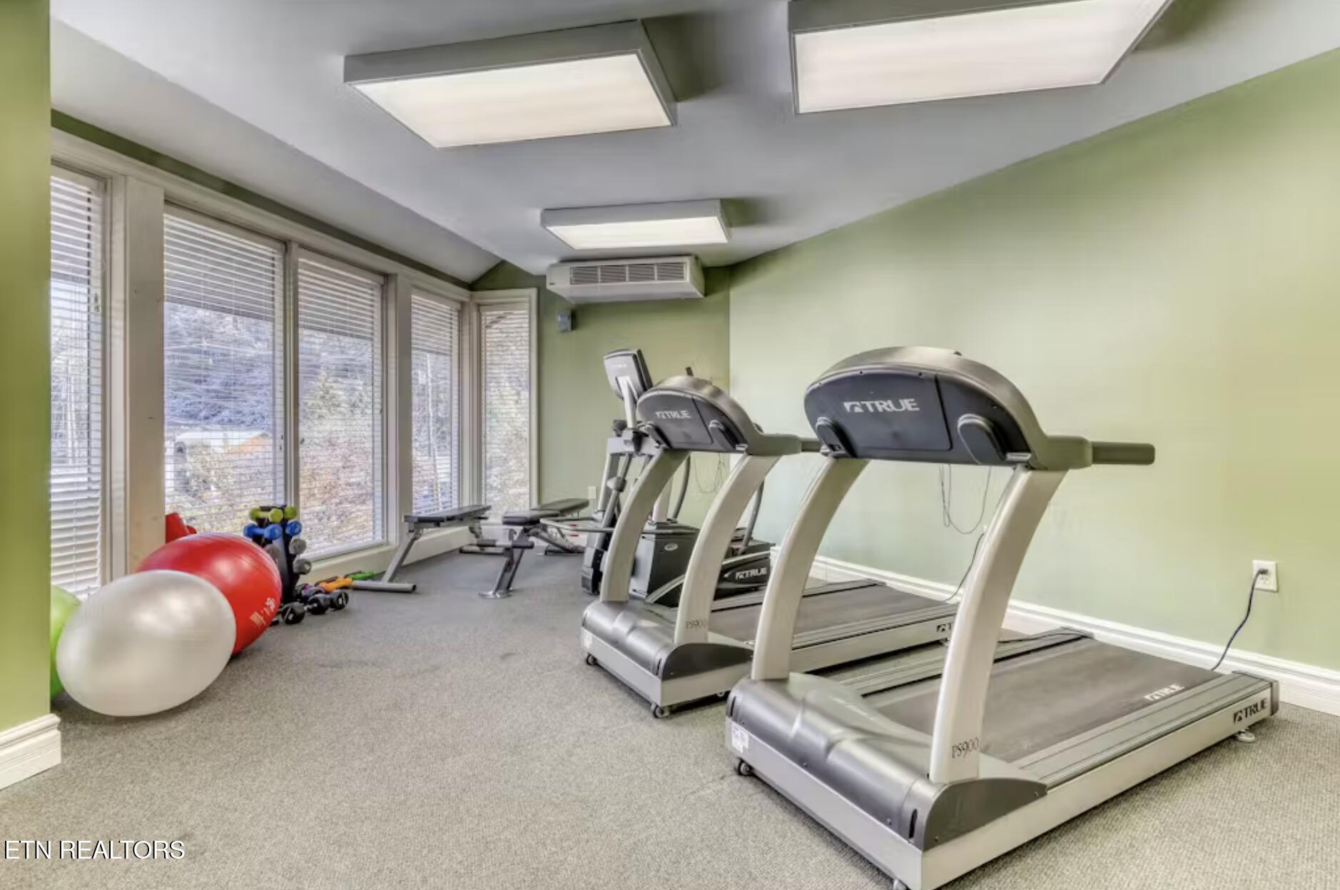 215 Woliss Lane Unit 303 Gatlinburg TN 37738
