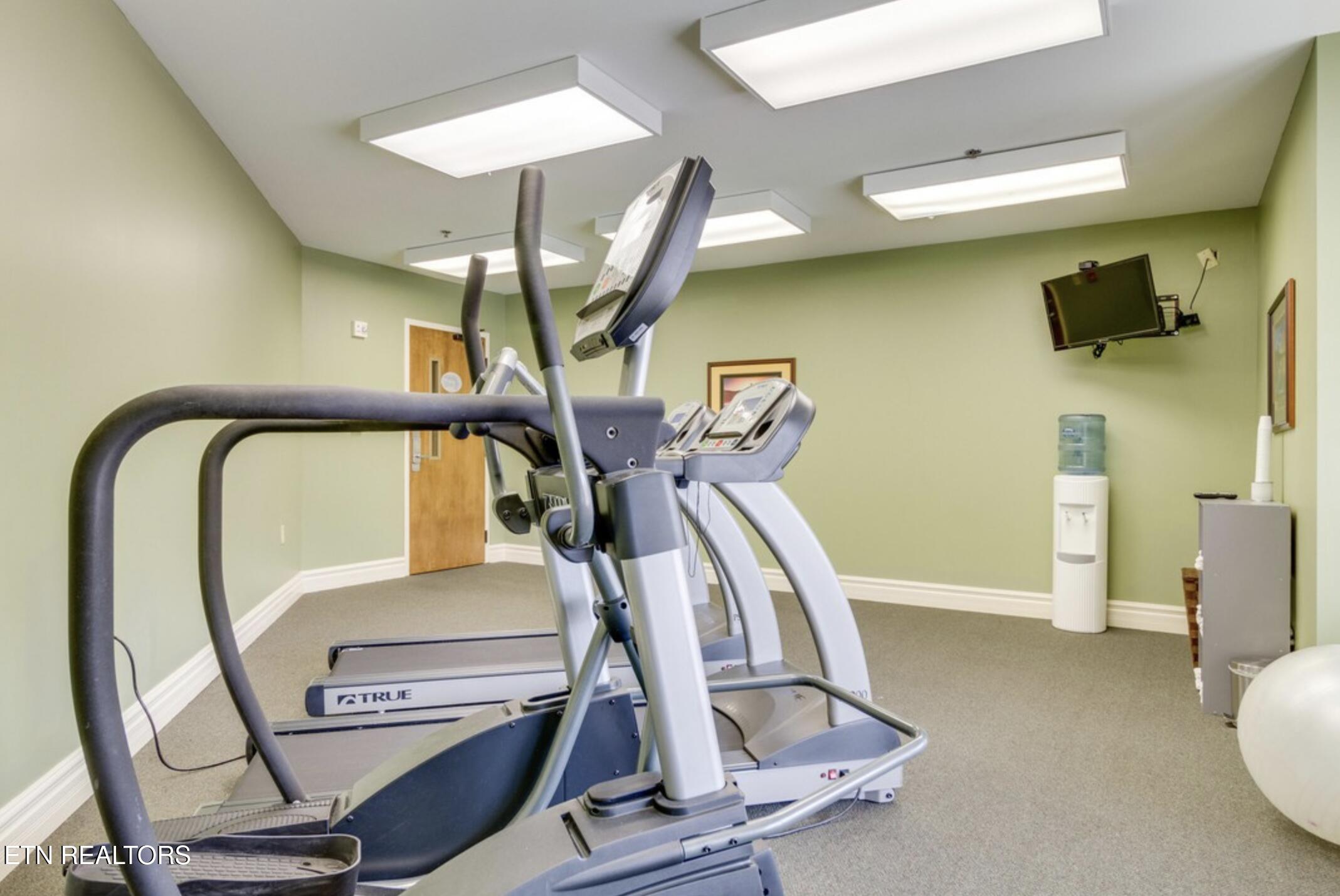 215 Woliss Lane Unit 303 Gatlinburg TN 37738