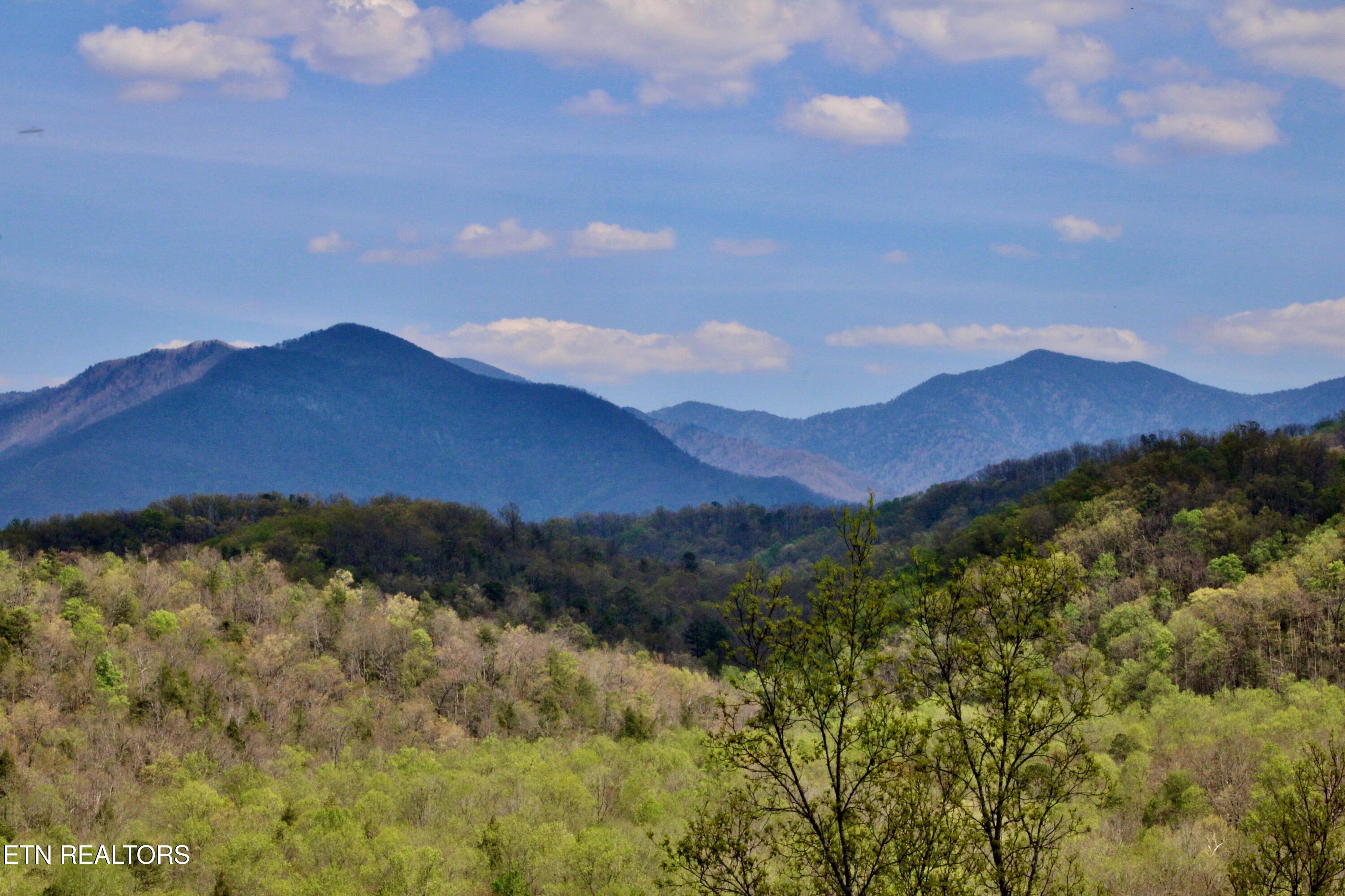 224 Woodland Road Gatlinburg TN 37738