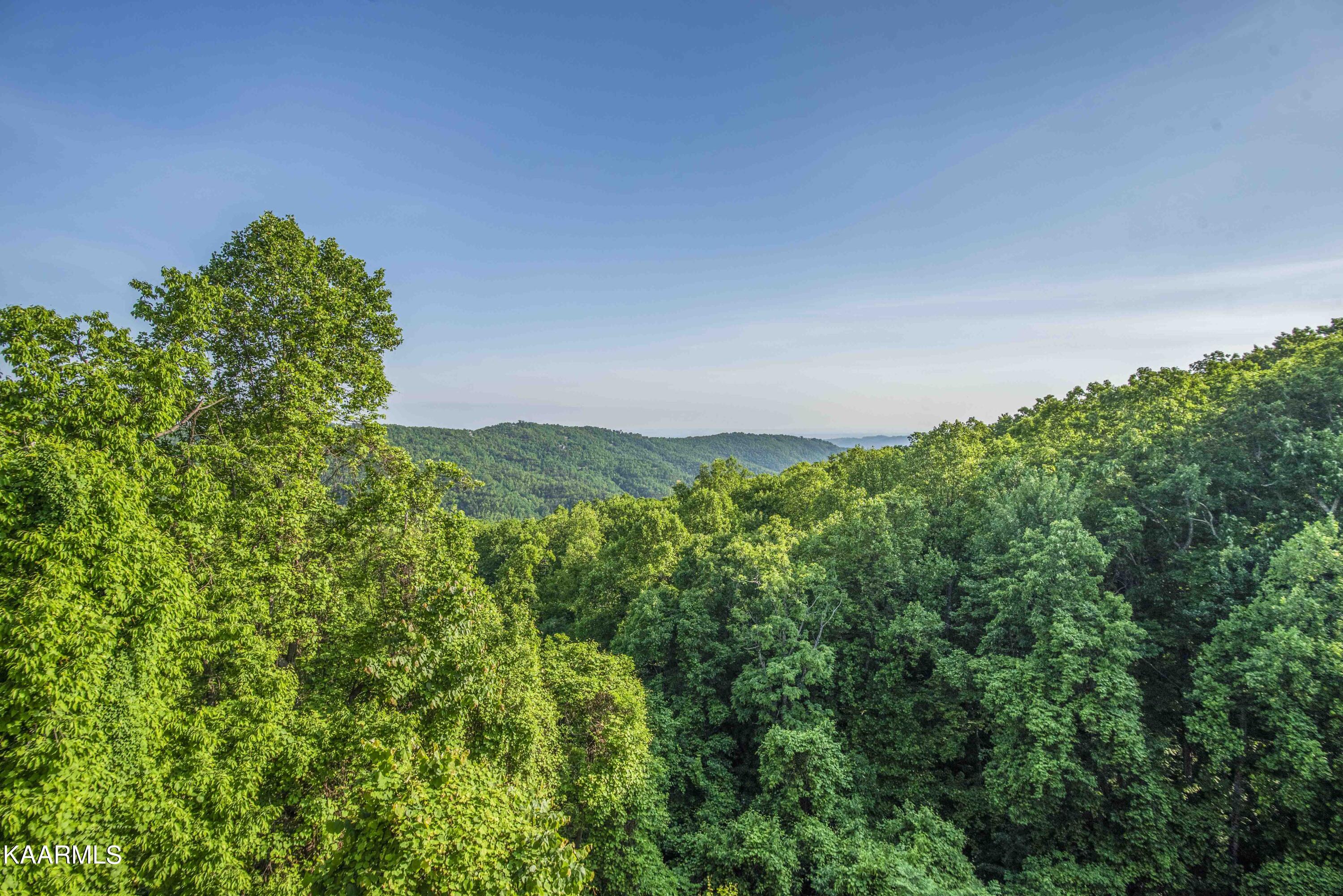 1102 Ski View Drive Gatlinburg TN 37738
