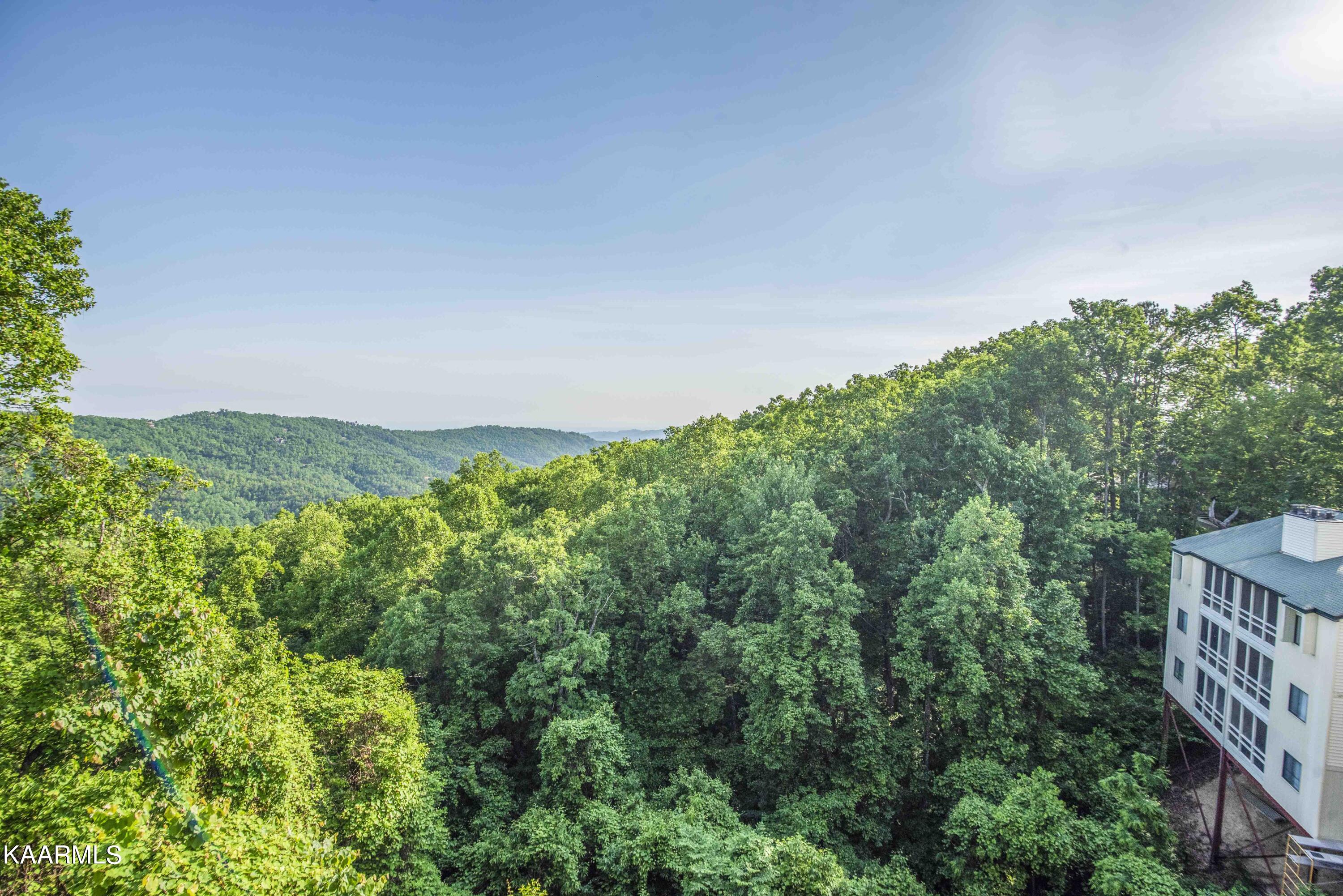 1102 Ski View Drive Gatlinburg TN 37738