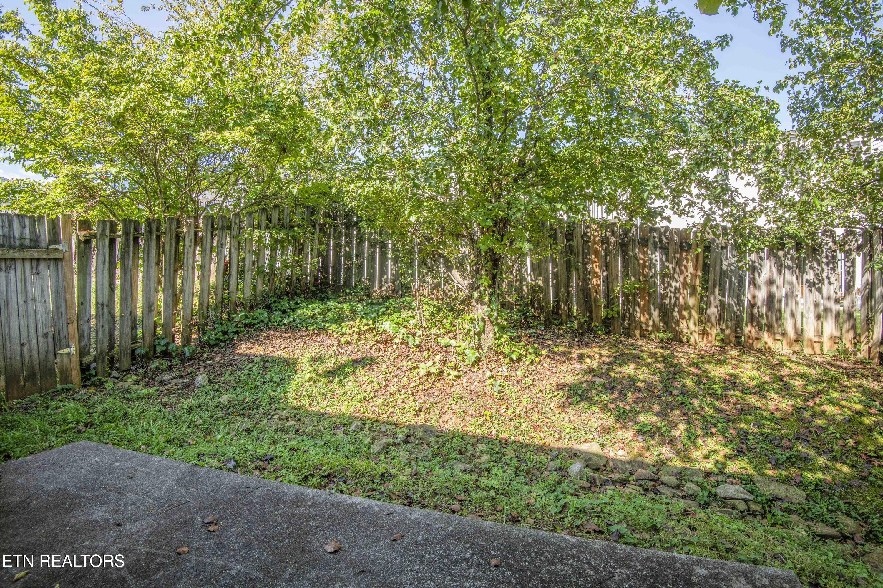 1315 Lucy Way Knoxville TN 37912