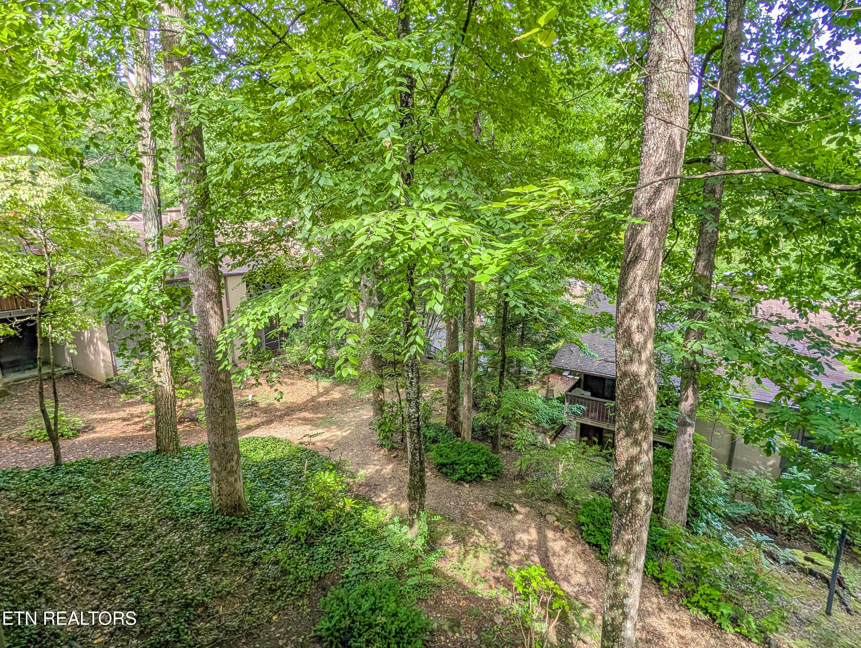 1235 Ski Mountain Road Gatlinburg TN 37738