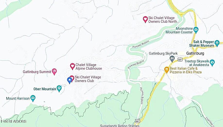 1235 Ski Mountain Road Gatlinburg TN 37738
