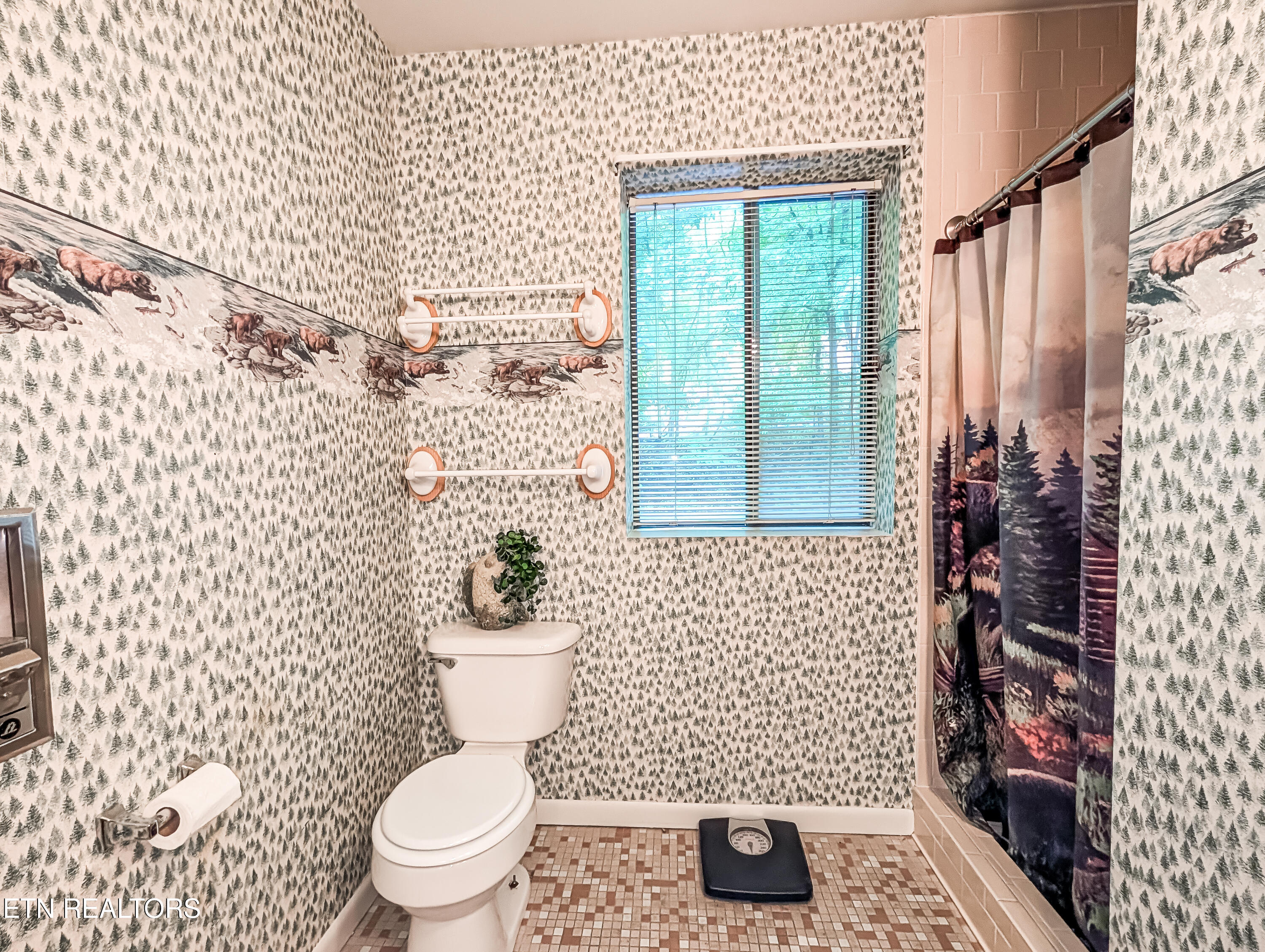 1235 Ski Mountain Road Gatlinburg TN 37738