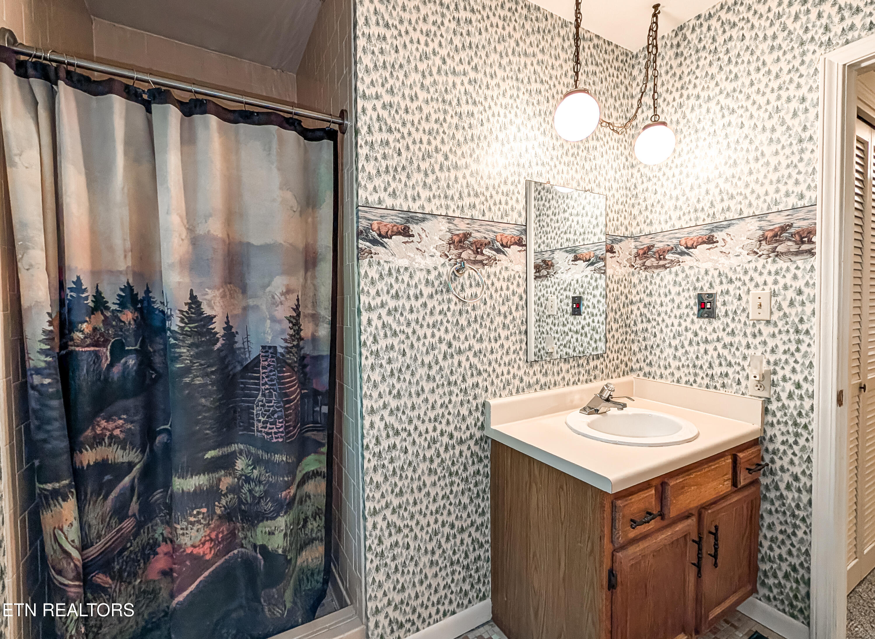 1235 Ski Mountain Road Gatlinburg TN 37738