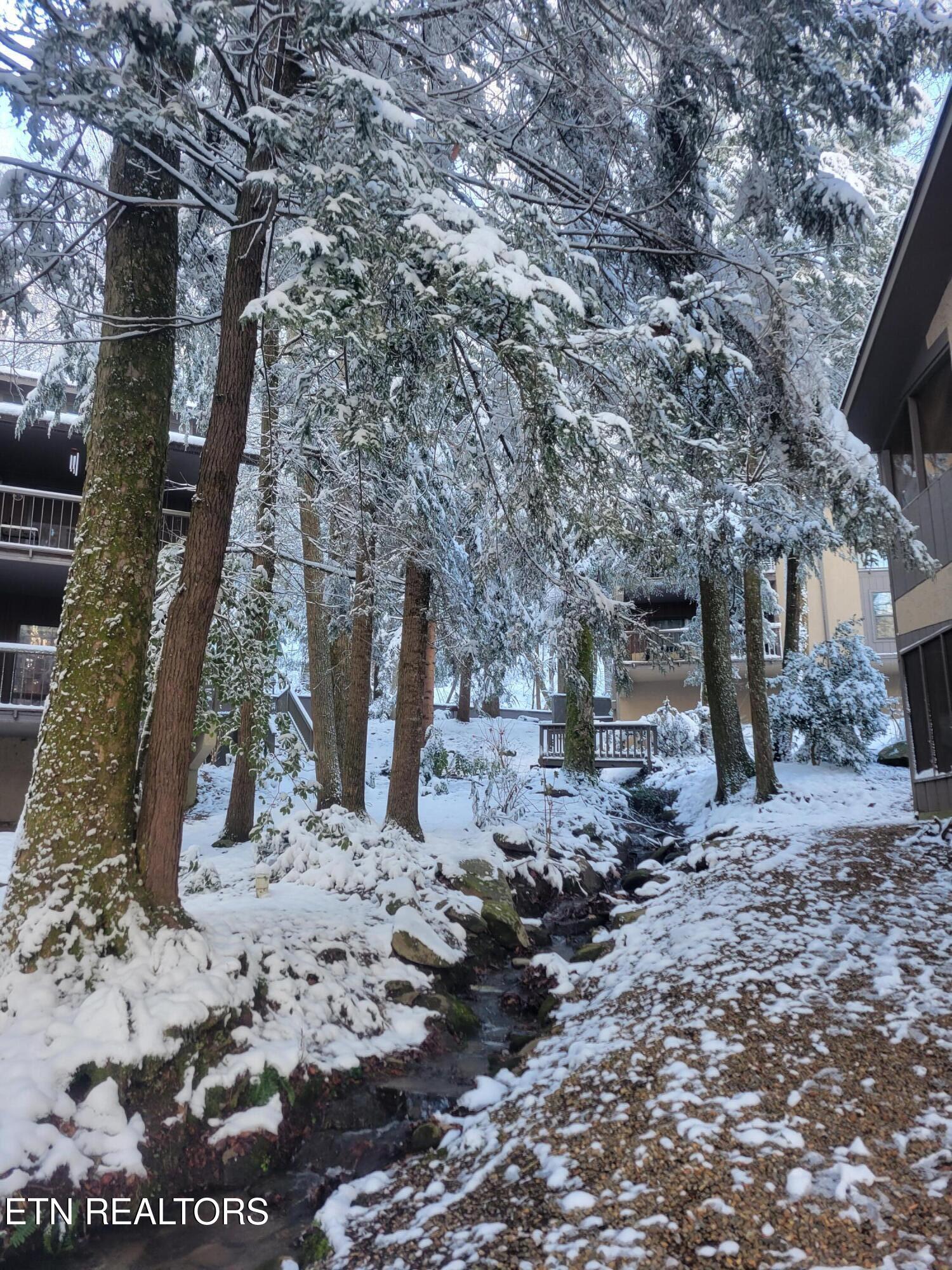 1235 Ski Mountain Road Gatlinburg TN 37738