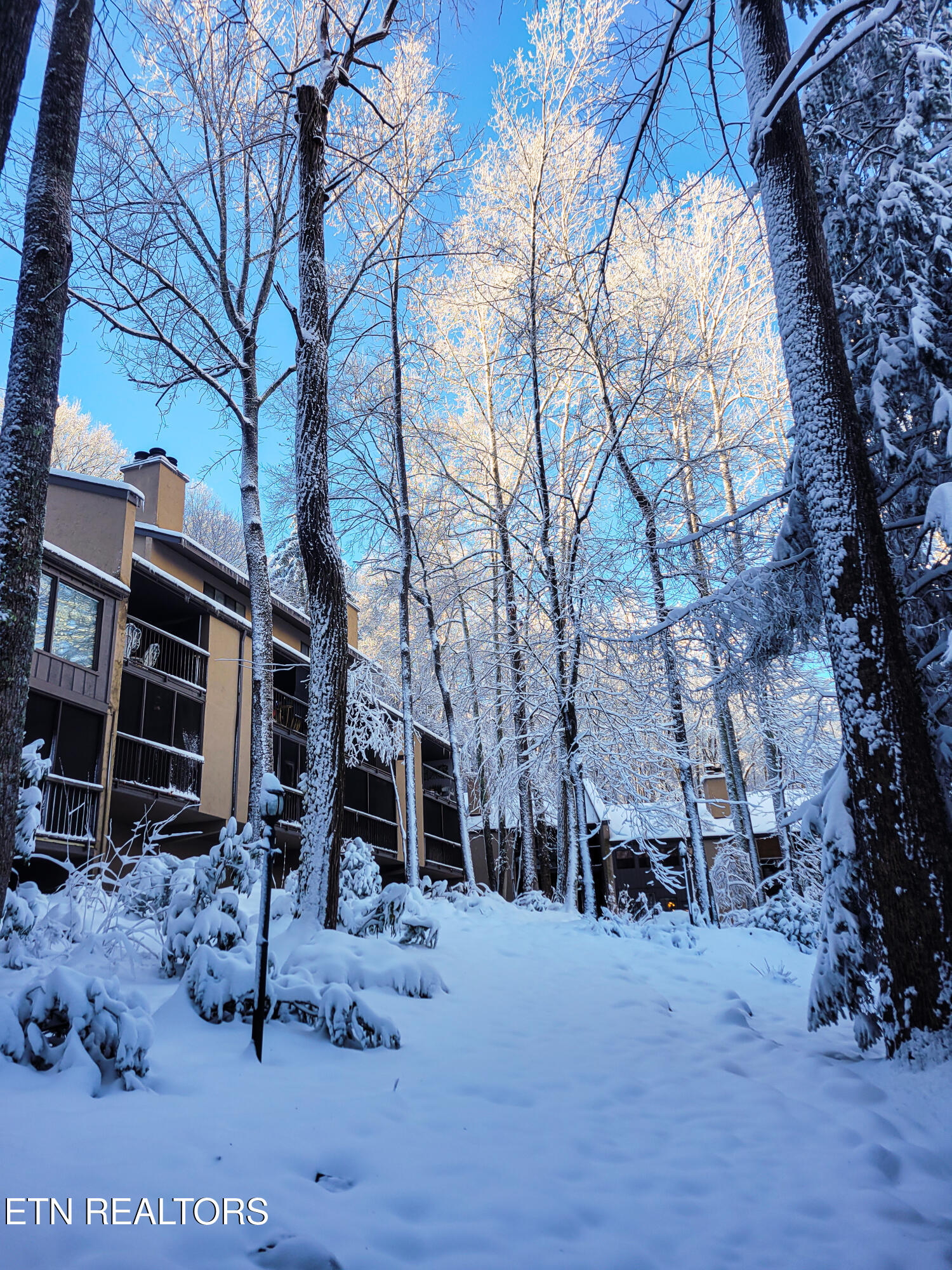 1235 Ski Mountain Road Gatlinburg TN 37738
