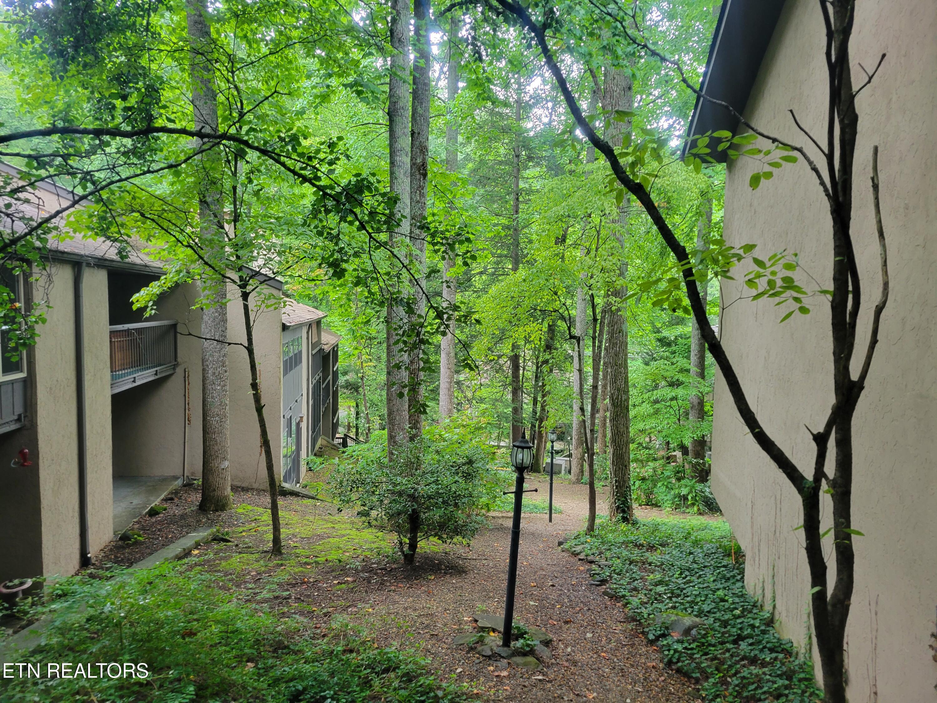 1235 Ski Mountain Road Gatlinburg TN 37738