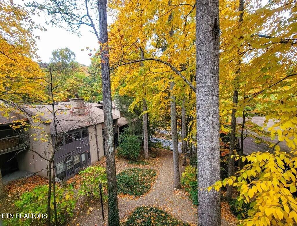 1235 Ski Mountain Road Gatlinburg TN 37738