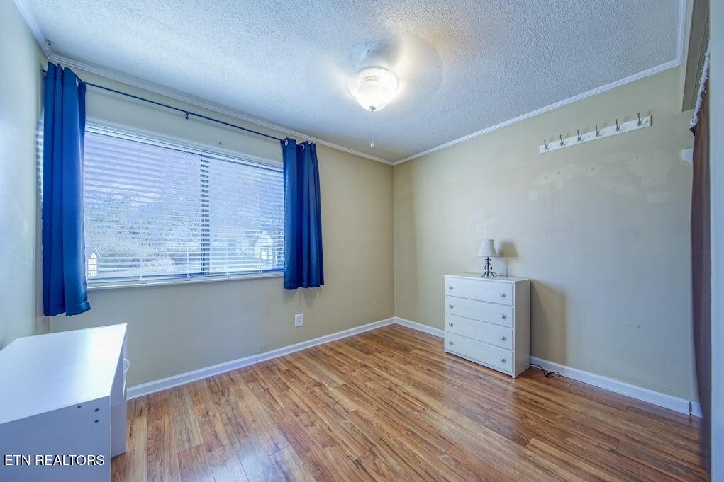 2733 Jersey Avenue Knoxville TN 37919