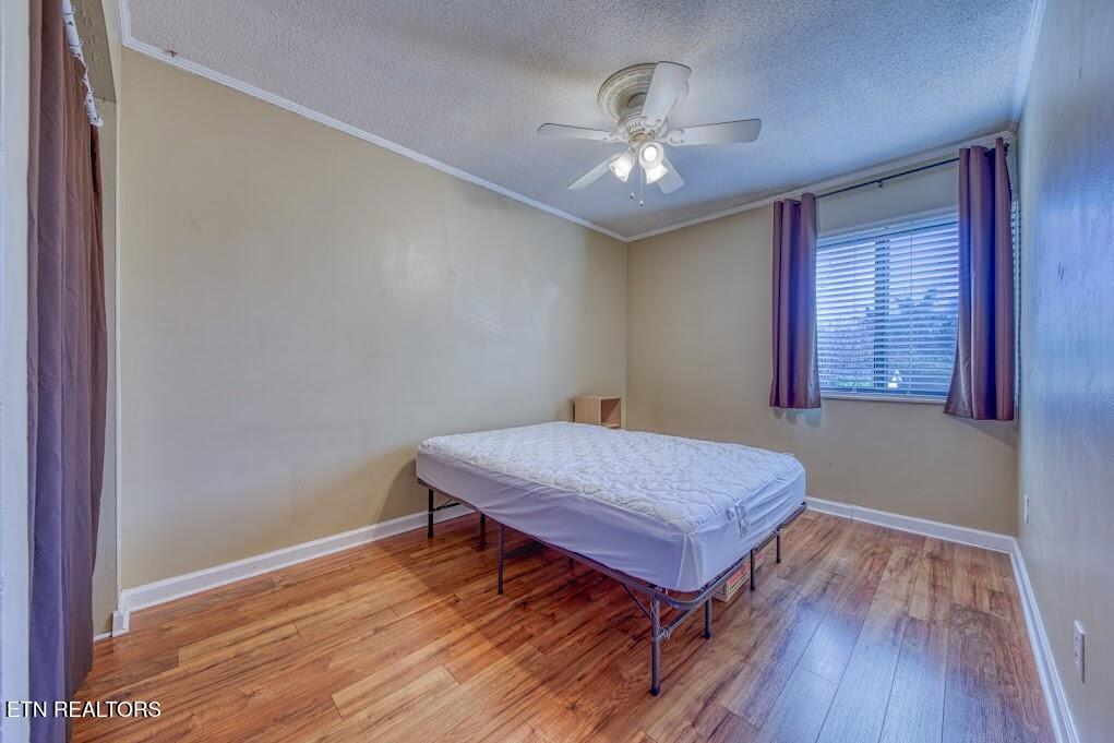 2733 Jersey Avenue Knoxville TN 37919