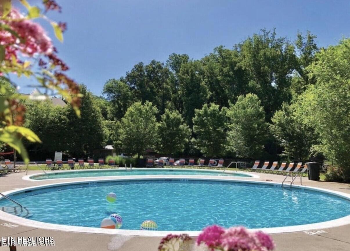 1130 Tree Top Way Knoxville TN 37920