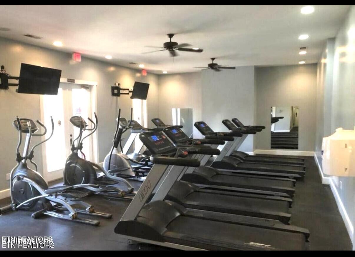 1130 Tree Top Way Knoxville TN 37920
