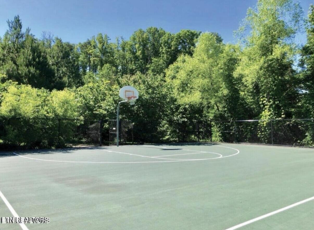 1130 Tree Top Way Knoxville TN 37920