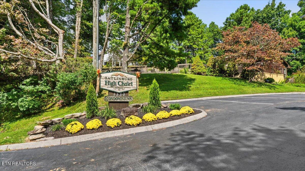 Gatlinburg TN 37738