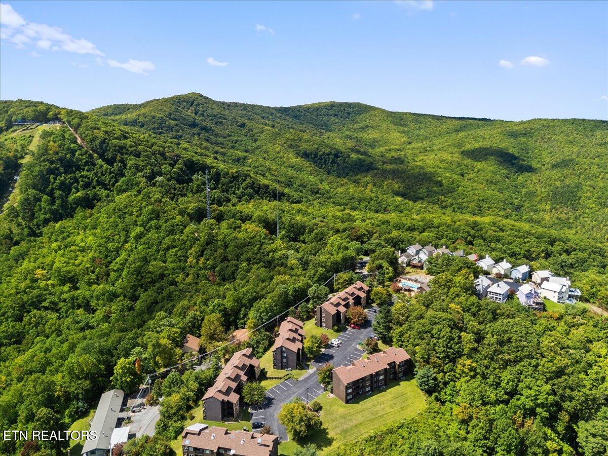 Gatlinburg TN 37738