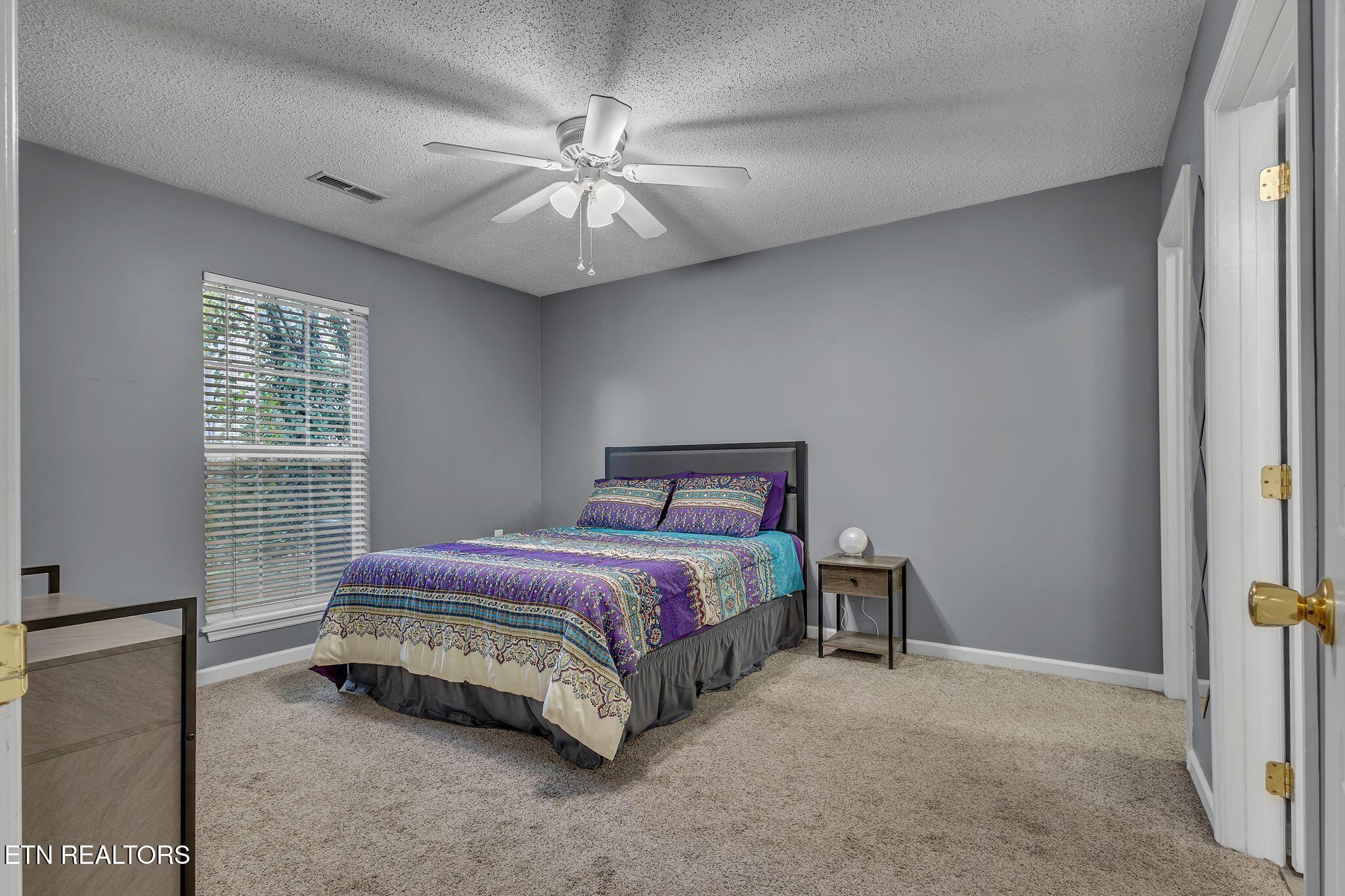 165 Dalton Place Way Knoxville TN 37912