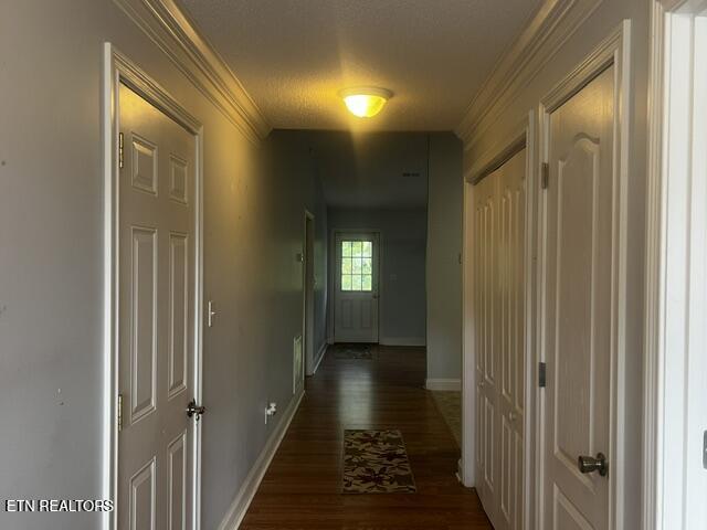 3513 Valley Stream Way Knoxville TN 37917