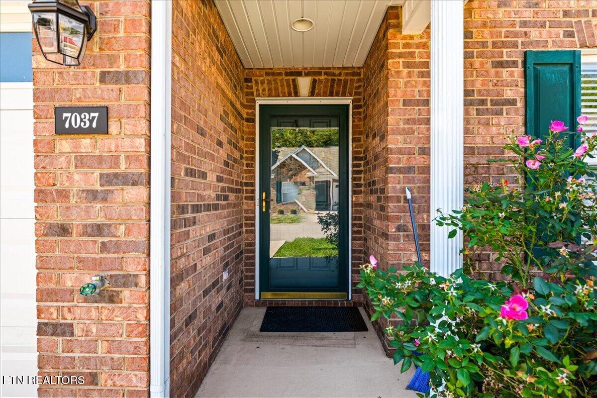 7037 La Christa Way Knoxville TN 37921