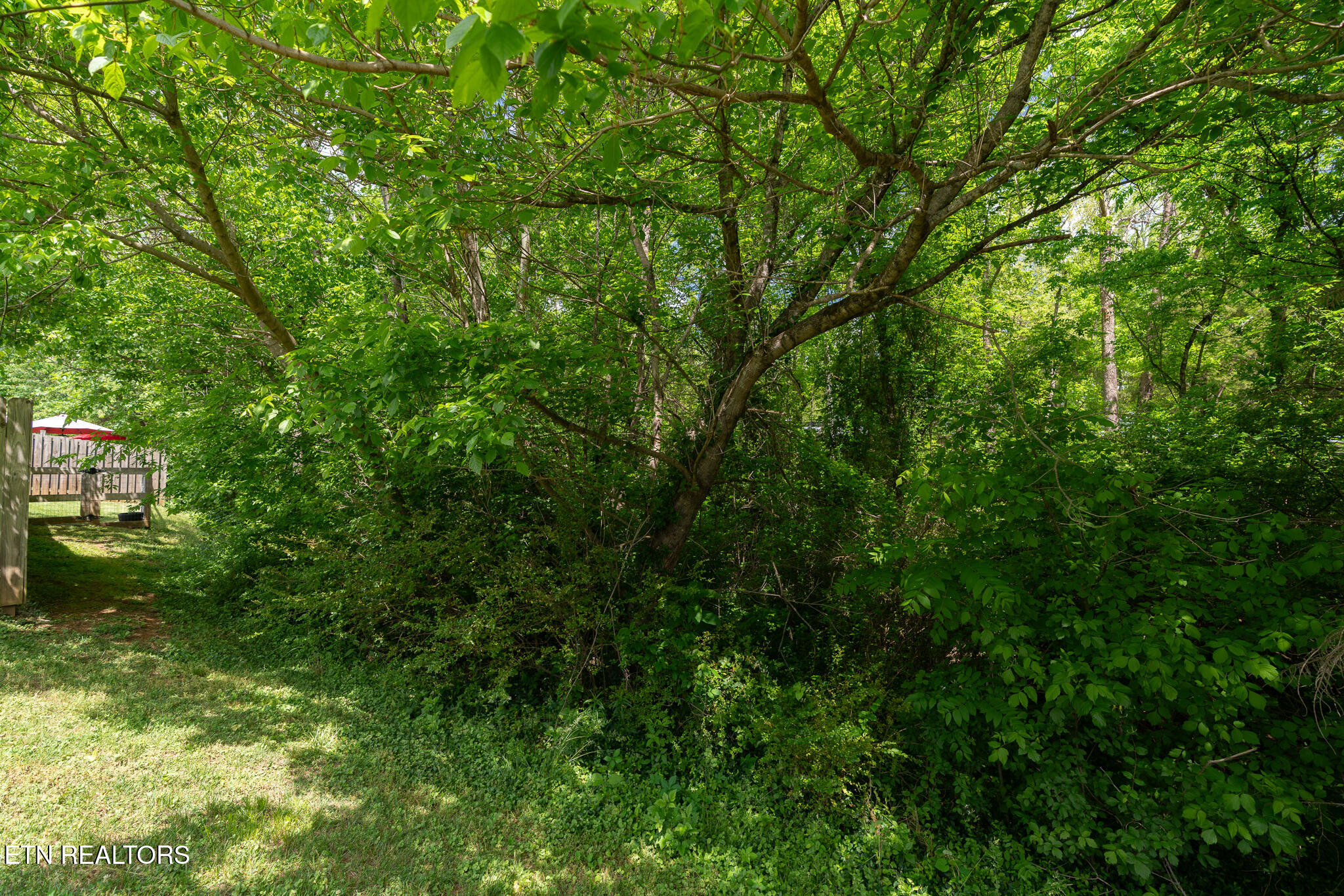 7568 Creek Song Court Knoxville TN 37920