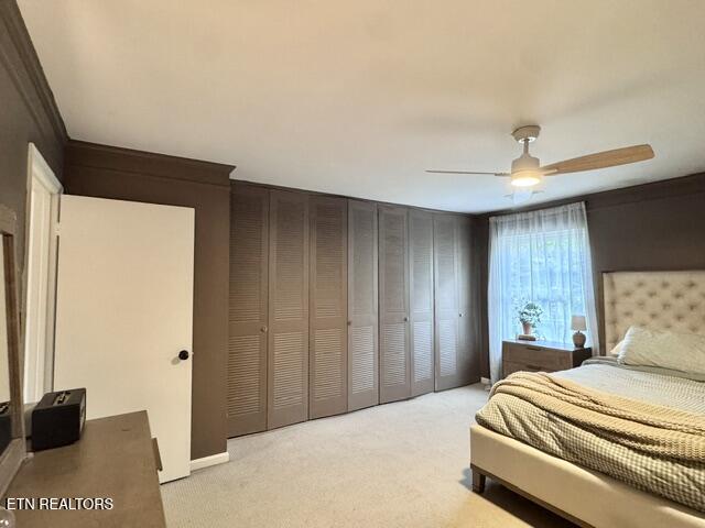 7019 Traditional Drive Knoxville TN 37909