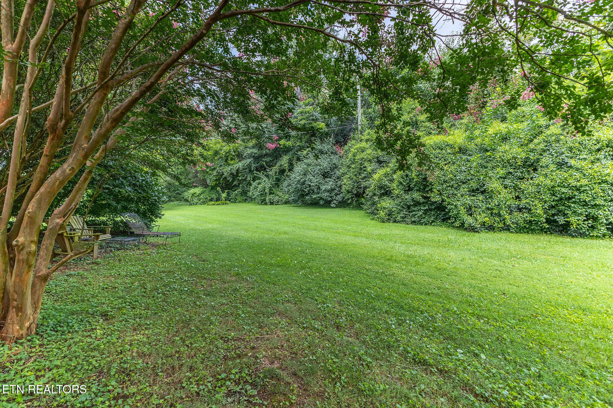 7019 Traditional Drive Knoxville TN 37909