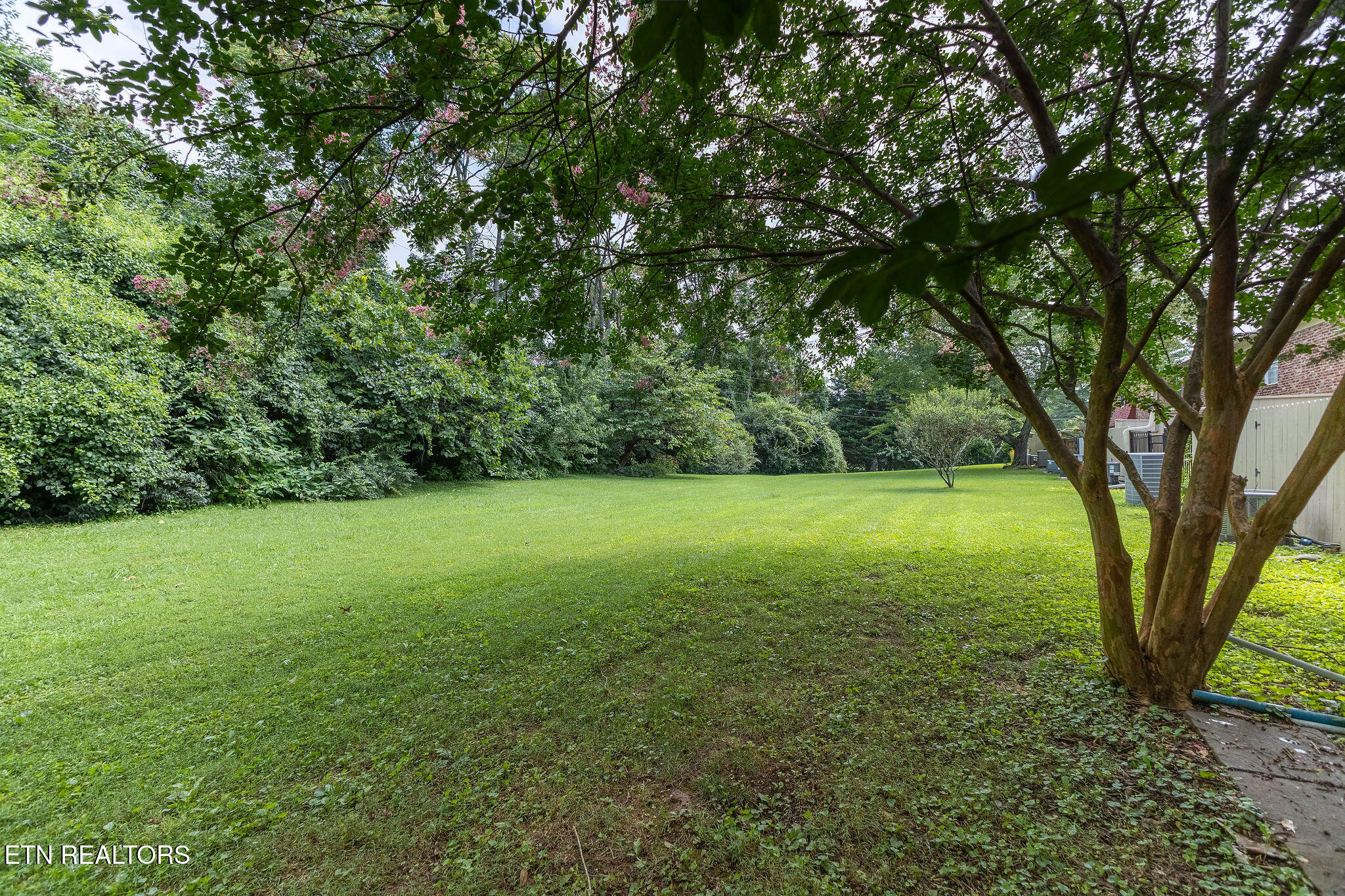 7019 Traditional Drive Knoxville TN 37909
