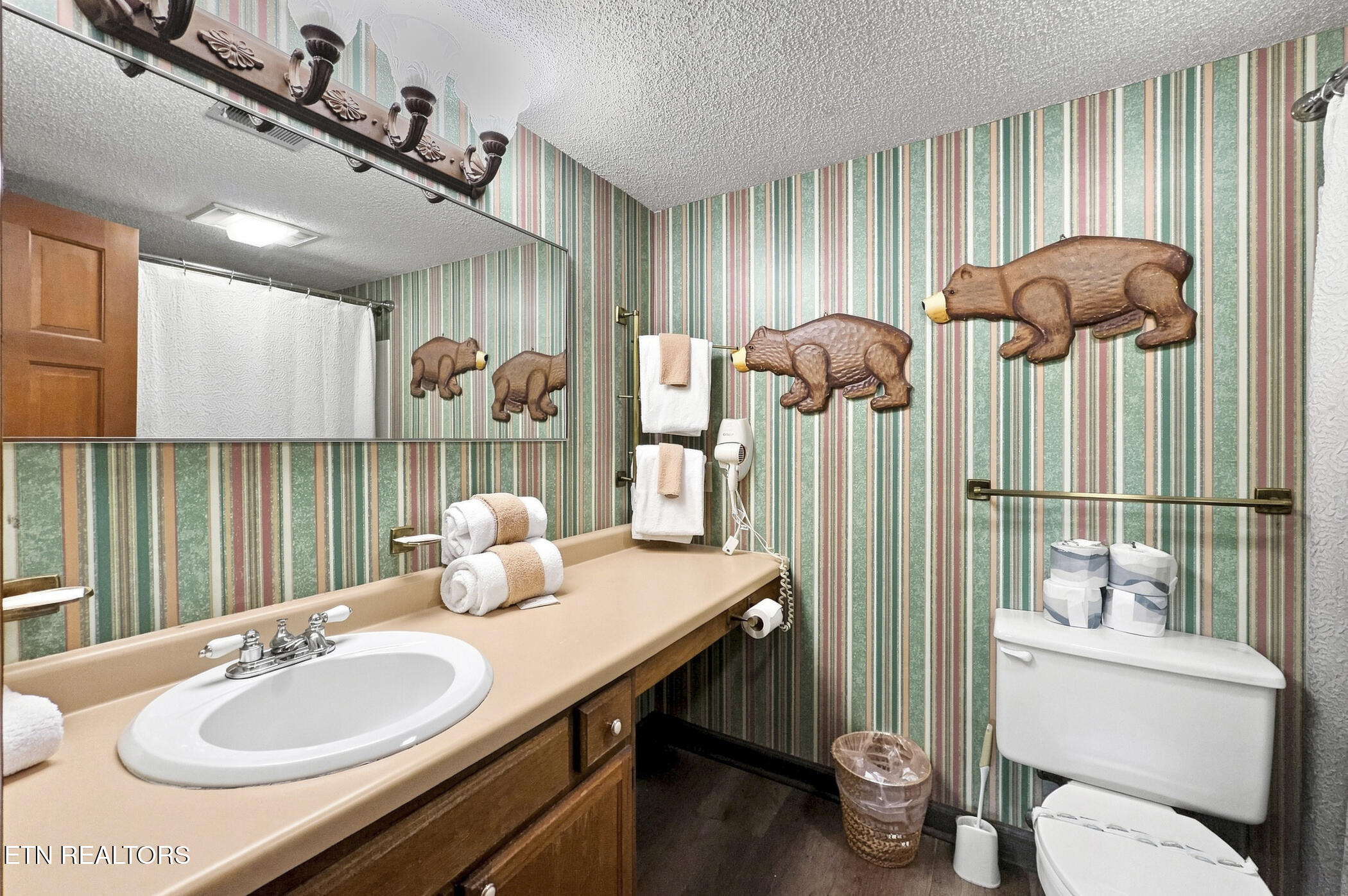 1155 Upper Alpine Way Gatlinburg TN 37738